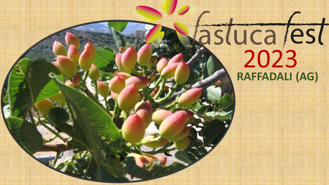 Scopri di più sull'articolo Fastuca Fest 2023: successo di visitatori per la festa del pistacchio dell’agrigentino. Francesco Bruscato